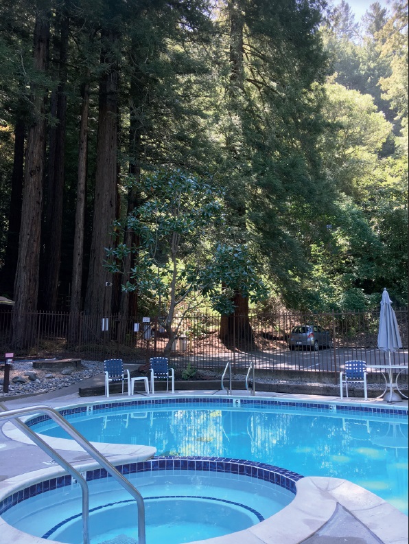 North Pool & Spa Adjacent to the Redwood Grove Picnic & BBQ Area