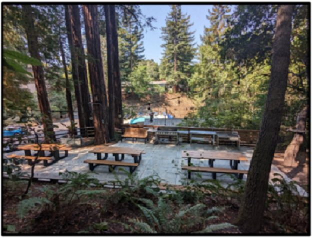 Redwood Grove Picnic & BBQ Area