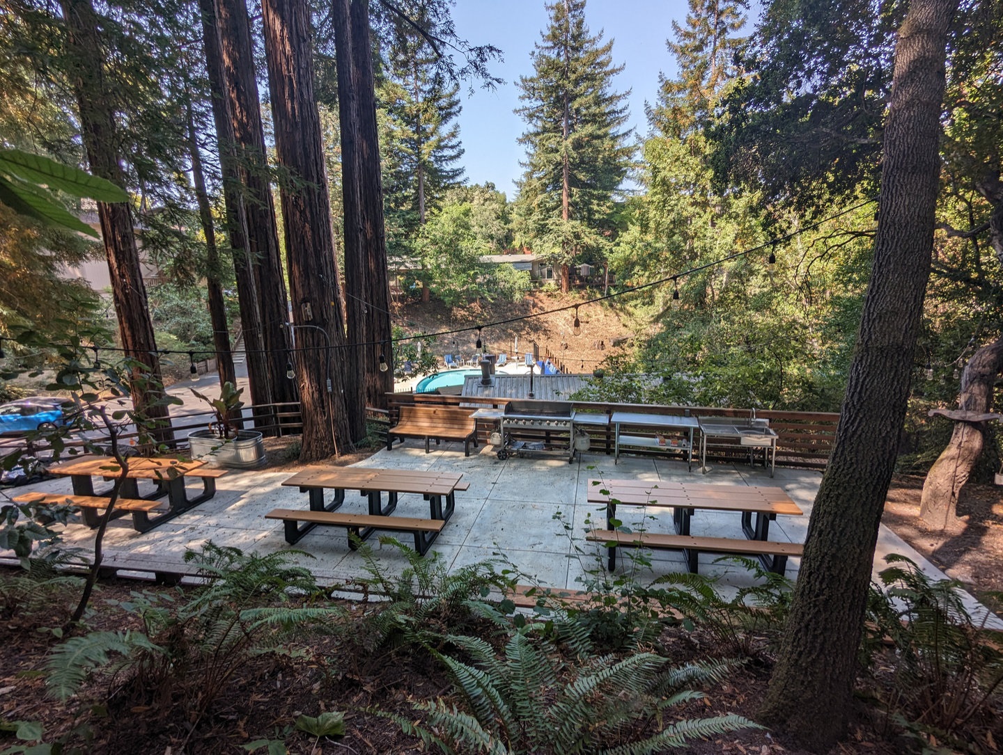 Redwood Grove Picnic & BBQ Area