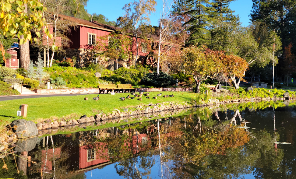 Montevalle 'Mill' and North Lake, November 2021