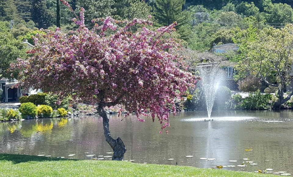 North Lake in the Spring