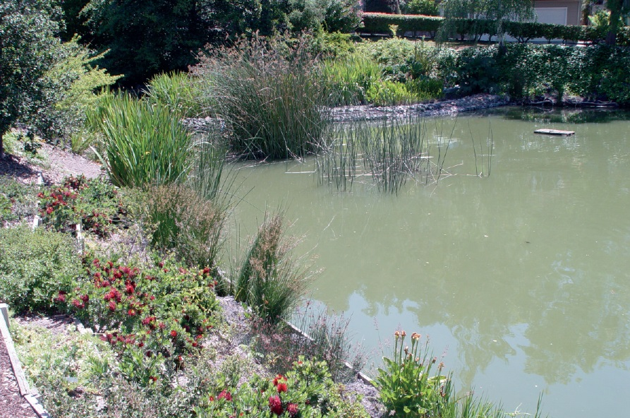 View from the Southwest corner of the South Lake