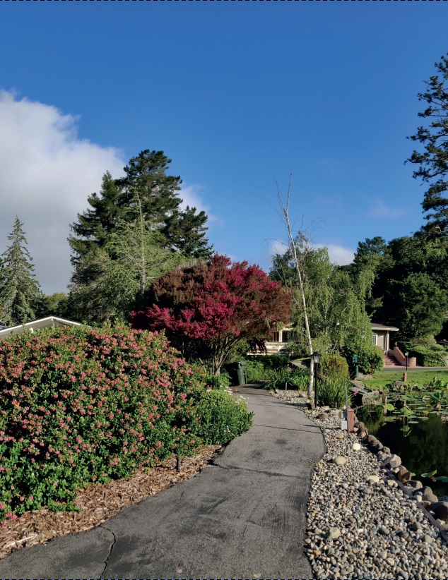 Path Along the North Lake